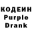 Кодеиновый сироп Lean Purple Drank Olga Terenti